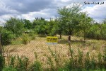 1006 mkw., ul. Droga Brzezińska Sieradz