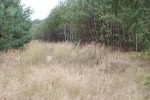 Działka o pow. 1215 m2 w okolicach Zduńskiej Wo