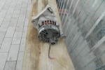 Sprzedam Alternator Sam Od Fiata Sieny 1,2 Benz