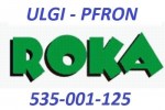 Sprzątanie, koszenie, pranie tapicerki i inne.