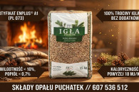 Pellet IGŁA Premium ENplusA1