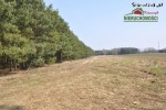 budowlana o pow. 10500 mkw., gm. Warta