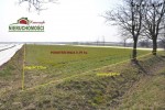 79 ar, Zagajew - rola