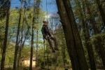 Wycinka drzew,pielęgnacje,prace alpinistyczne