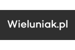 Naklejki Wieluniak.pl na samochód