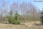 działka o pow. 4000 m2., STOCZKI