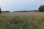 Działka budowlana o pow. 1526 m2 w Korczewie