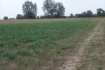 Działka o pow. 2159 m2