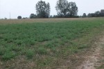 Działka o pow. 1053 m2