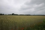 Działka rolno - budowlana 1160 m2