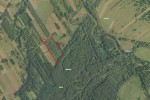 Działka leśna 32800 m2