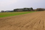 Działka budowlana 7000 m2