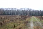Działka budowlana 1594 m2