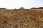Działka budowlana 5500 m2