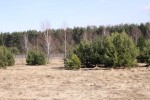 Działka budowlana 2100 m2