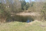 Działka budowlana w Miedźnie o pow. 1066 m2