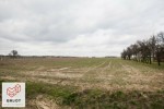 Działka 1838m2 Zapolice