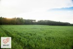 Oferujemy na sprzedaż działkę rolną