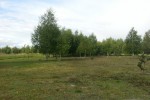 Dzialka budowlana w Zloczewie 1654 m2