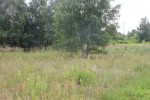 Działka inwestycyjna w dzielnicy przemysłowej