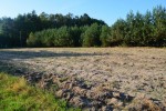 działka budowlana 10 ar