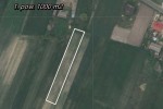 Wola Będkowska gm. Burzenin, pow. 9800 m2