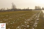 Działka o powierzchni 6817 m 2 w Zduńskie Woli