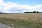 1191 m2, ul. Modrzewiowa / Ludowa Sieradz