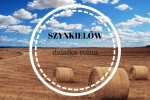 działka rolna 1,69 ha - Szynkielów gm.Konopnica