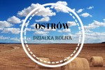Ostrów gm. Brzeźnio - 0.9440 ha