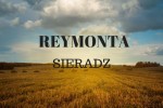 1200 m2, ul. Reymonta, Sieradz
