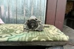 Rozrusznik Sam Vw-Seat Cordoba*1,6 Bz*100%Spr