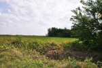 2,20 ha Będków gm. Burzenin