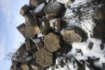 Trylinka betonowa oraz płytki chodnikowe