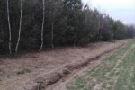 Sprzedam las w miejscowości Witów, gm. Burzenin